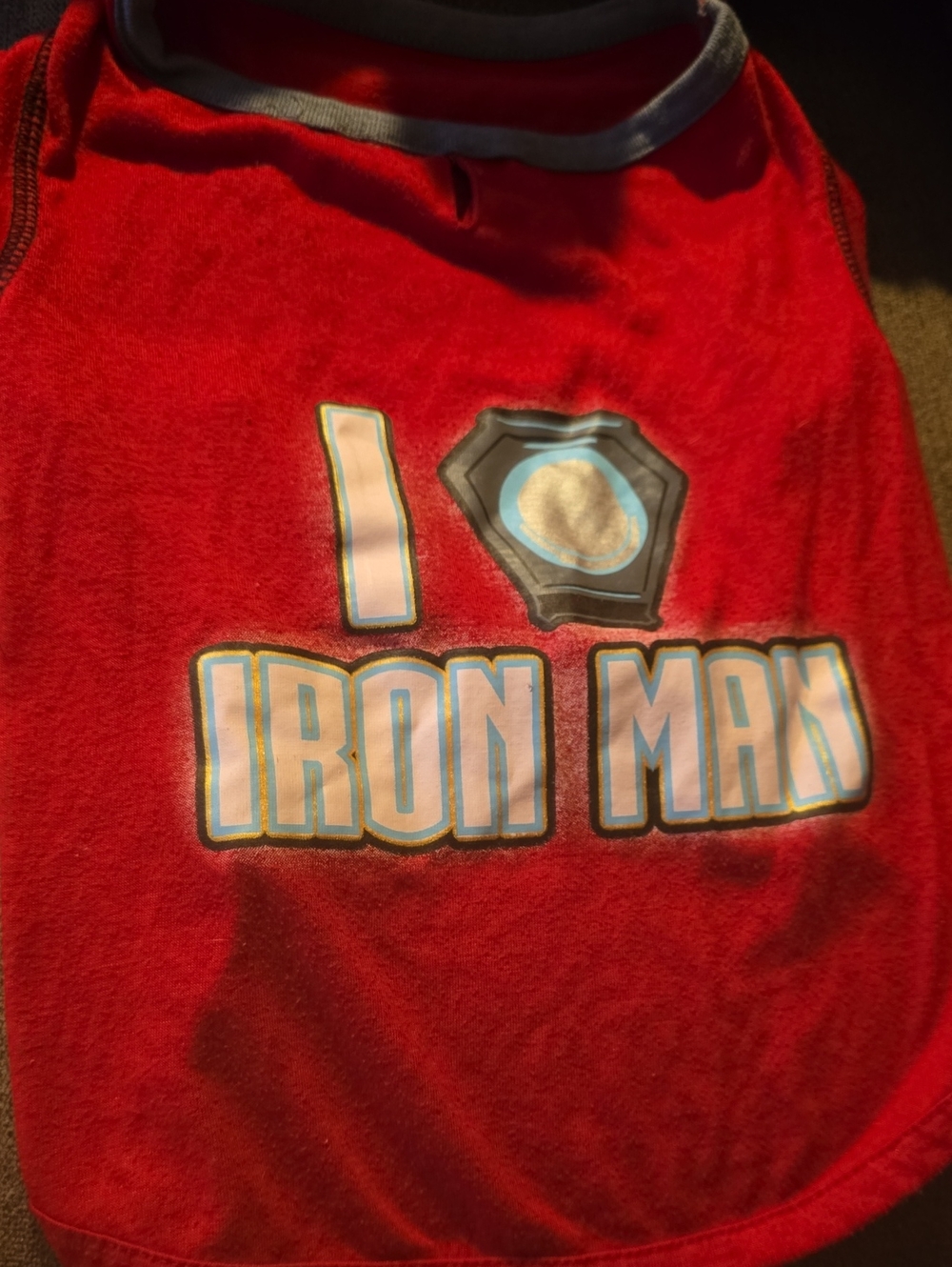 Red 'Iron Man' Graphic Dog Tee